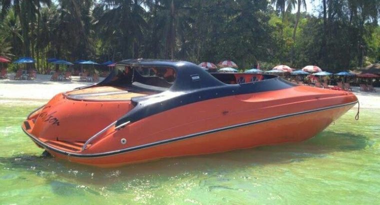 Carlson 195 spor