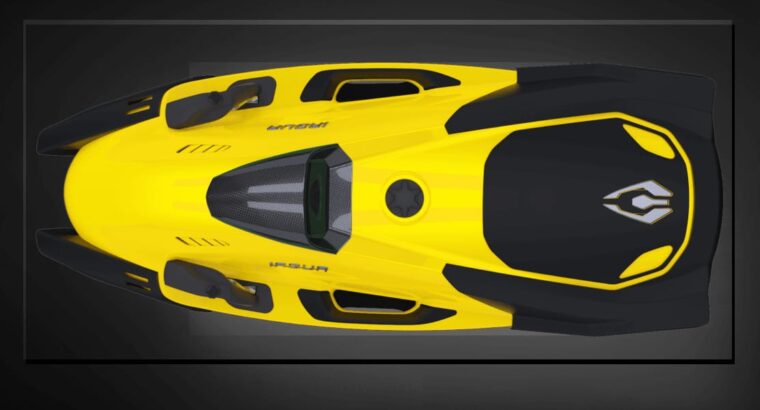 Water sport toys