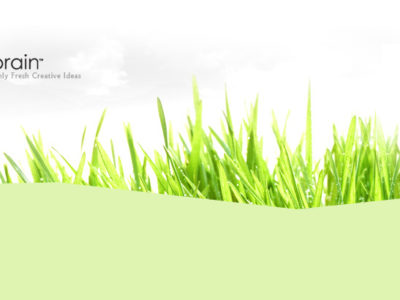 Web Design & Development, Graphic Design in Phuket