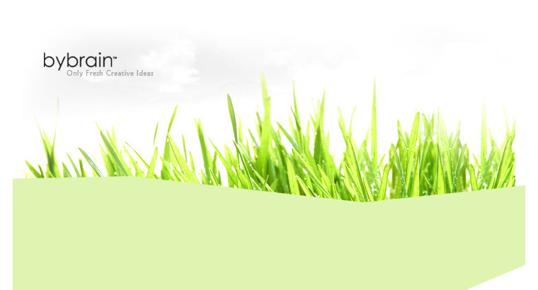 Web Design & Development, Graphic Design in Phuket
