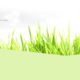 Web Design & Development, Graphic Design in Phuket