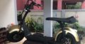 Heavily discounted Now only 25,000 Electric Fatboy Chopper.