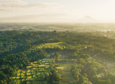 Indonesia