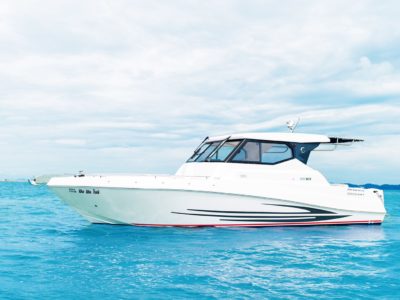 Silver Craft 31HT (2017)