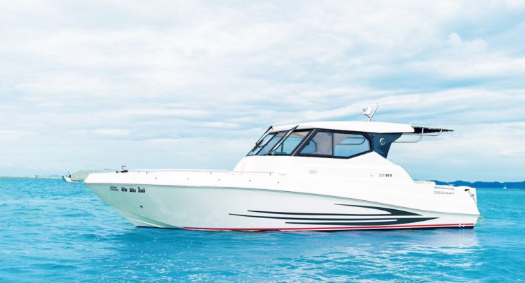 Silver Craft 31HT (2017)