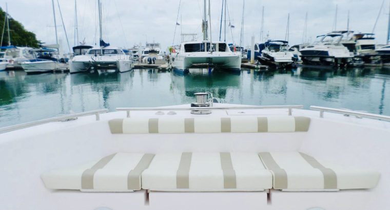 Silver Craft 31HT (2017)